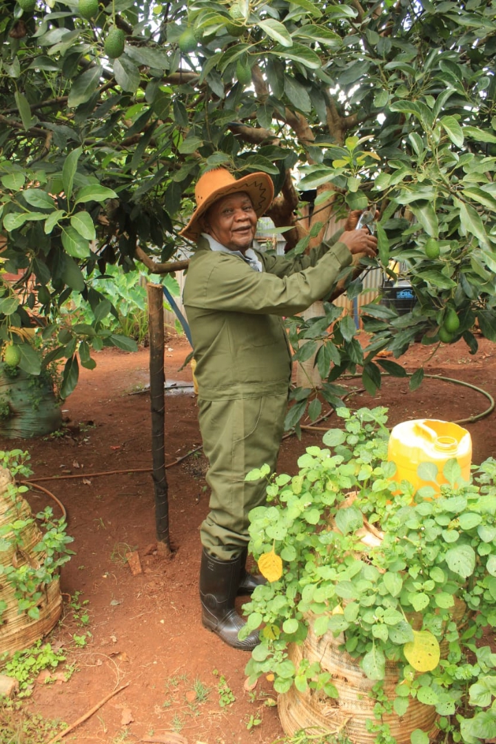 Wakas Organic Farm